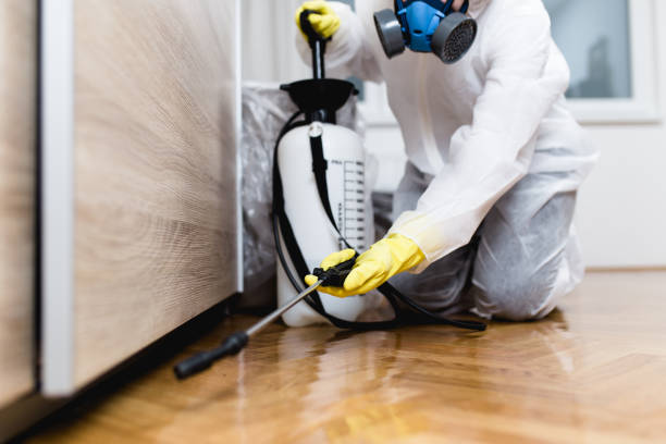 Best Exterminator Services  in Bridgeport, IL