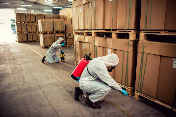 Best Wasp Removal Services  in Bridgeport, IL