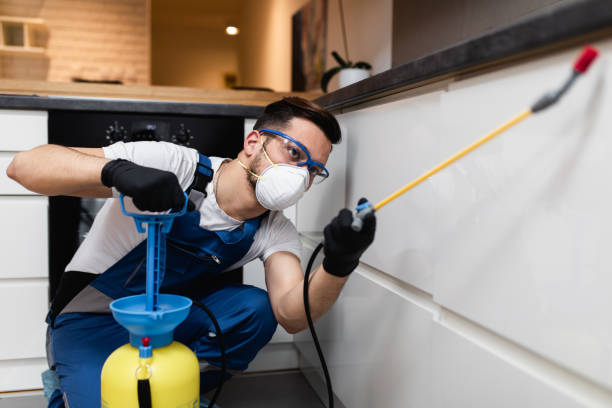 Best Wildlife Control Services  in Bridgeport, IL