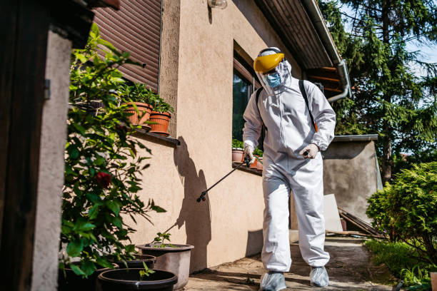 Trusted Bridgeport, IL Pest Control Experts