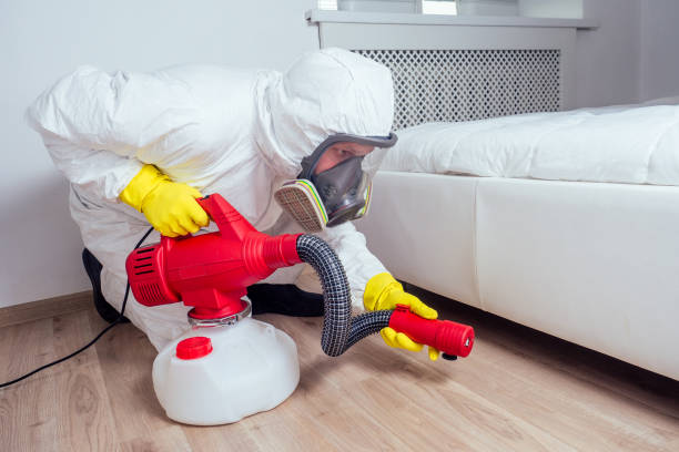 Best Affordable Pest Control Services  in Bridgeport, IL