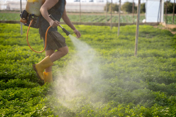 Best Wildlife Control Services  in Bridgeport, IL