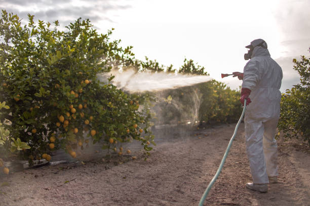Best Pest Prevention Services  in Bridgeport, IL