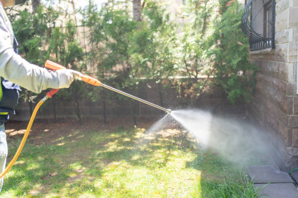 Best Pest Removal Services  in Bridgeport, IL