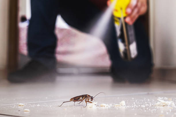 Best Mosquito Control Services  in Bridgeport, IL