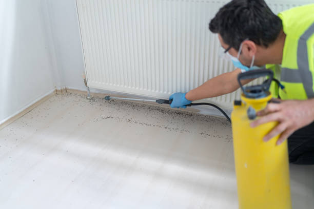 Best Local Pest Control Services  in Bridgeport, IL